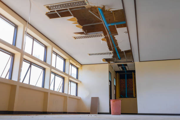 Best Water damage restoration near me  in Bellevue, OH