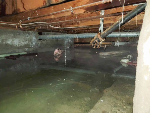 Water damage restoration experts in Bellevue, OH