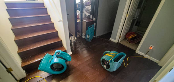 Carpet water damage restoration in Bellevue, OH