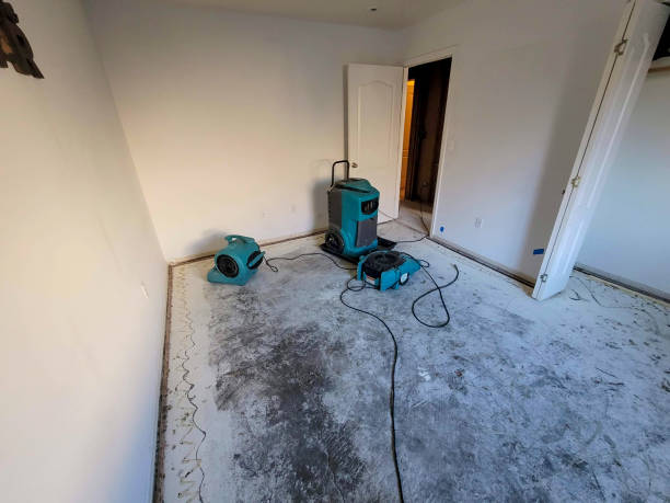 Trusted Bellevue, OH Water damage restoration Experts