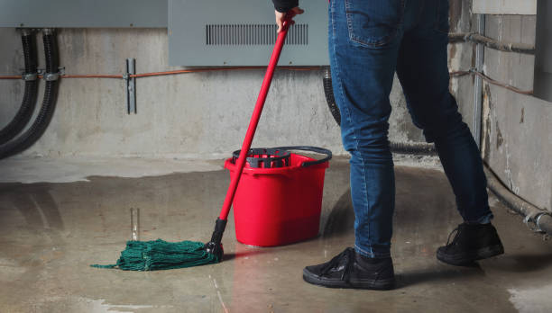 Best Water damage restoration near me  in Bellevue, OH