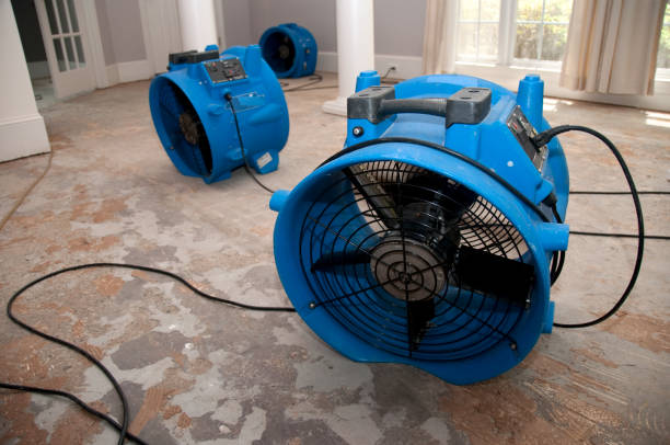 Best Carpet water damage restoration  in Bellevue, OH