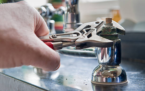 Best Mold removal after water damage  in Bellevue, OH