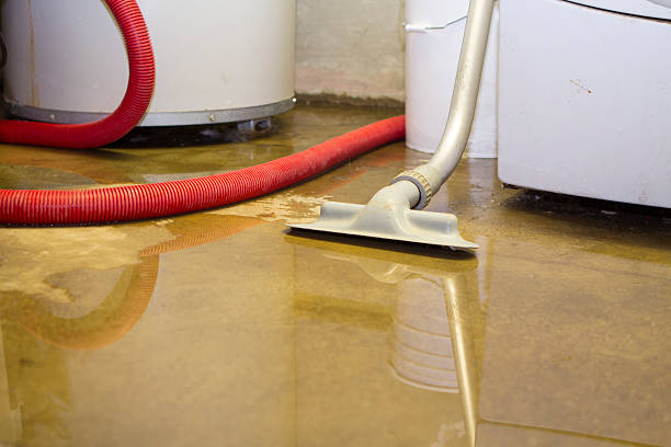 Best Water damage contractors near me  in Bellevue, OH