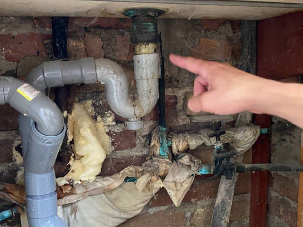 Best Water damage repair service  in Bellevue, OH