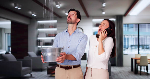 Best Water damage contractors near me  in Bellevue, OH